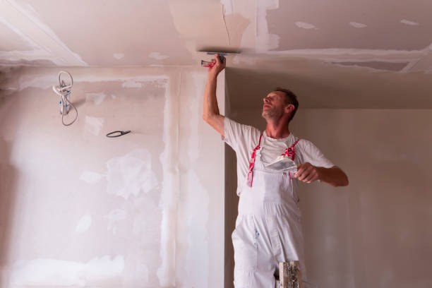 Trusted Shingletown, CA Drywall and Painting Service Experts